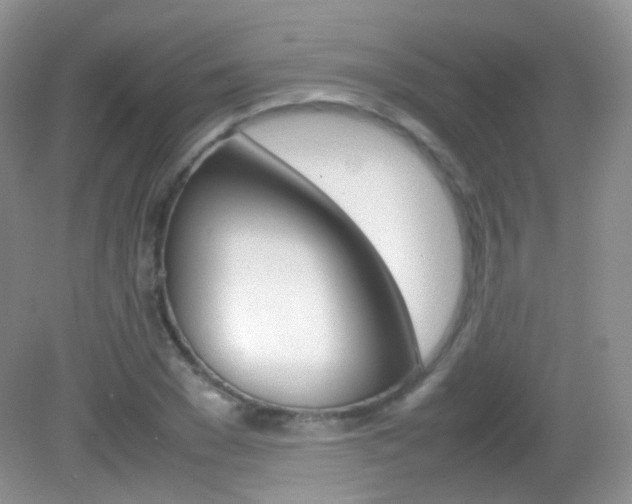 X0000082940977200702011107
