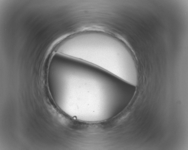 X0000082940979200702011107