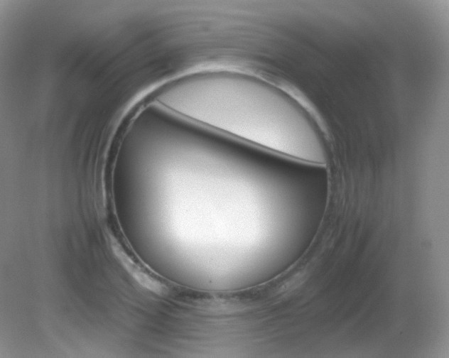 X0000082940980200702011107