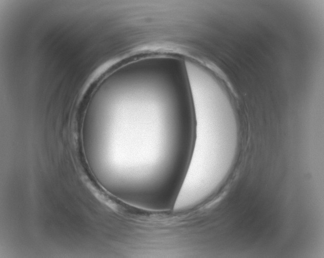 X0000082940981200702011107