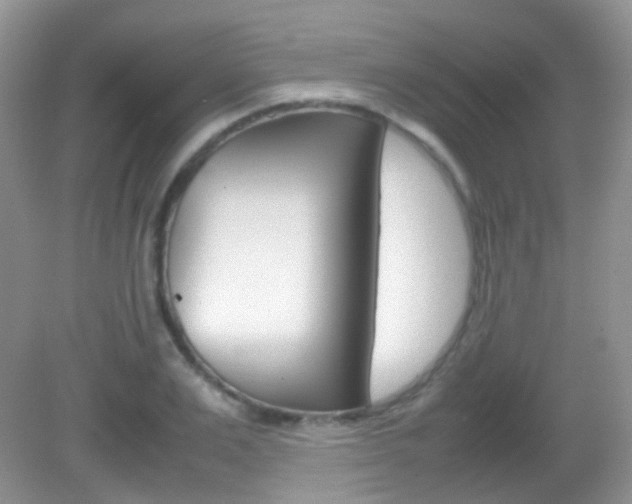 X0000082940983200702011107