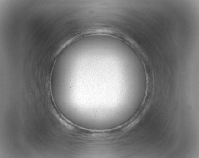 X0000082940985200702011107