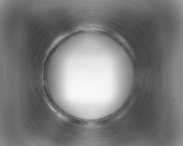 X0000082940986200702011107