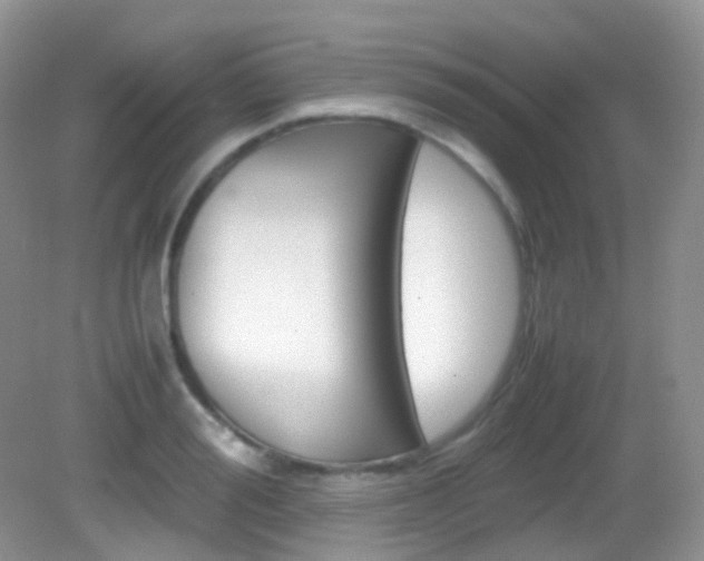 X0000082940988200702011107
