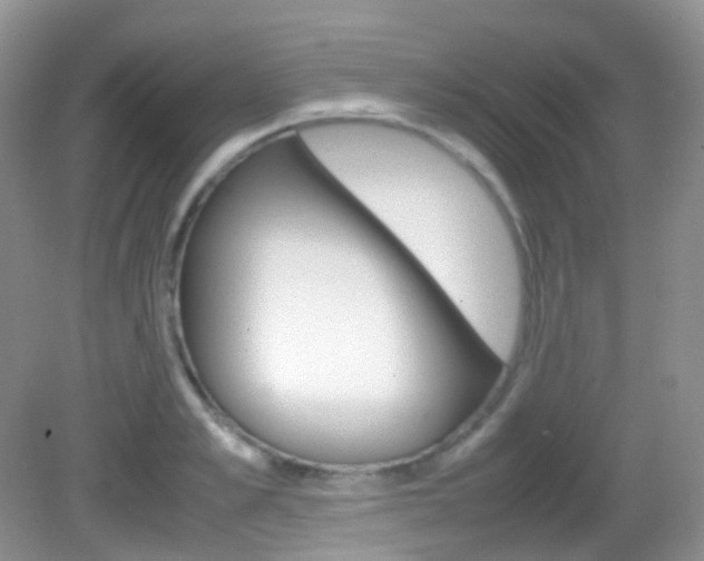 X0000082940989200702011107