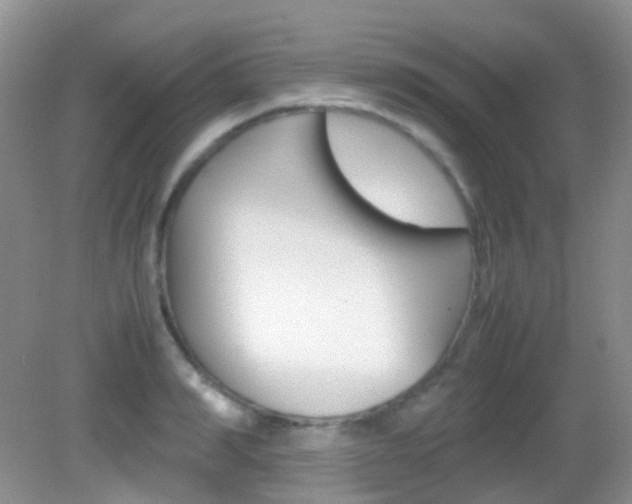X0000082940990200702011107