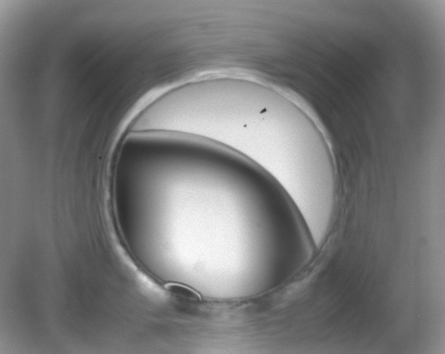 X0000082941005200702011107