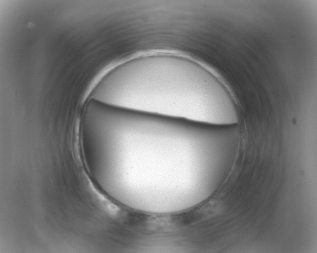 X0000082941006200702011107