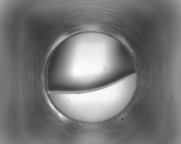 X0000082941007200702011107