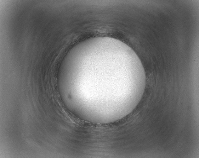 X0000082941009200702011106