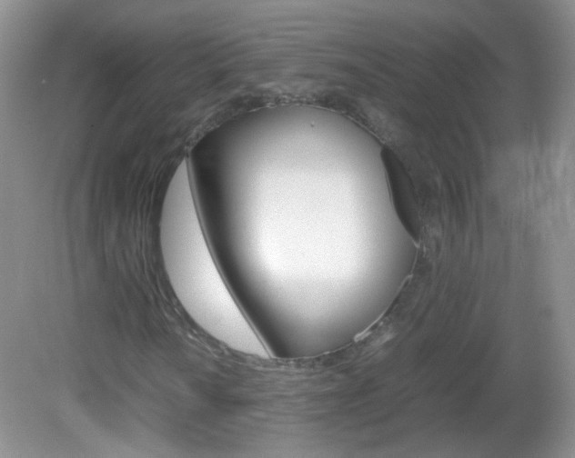 X0000082941010200702011106