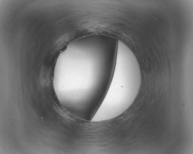 X0000082941012200702011106
