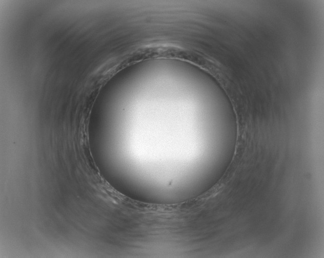 X0000082941014200702011106