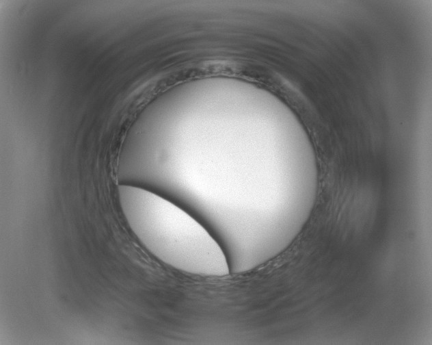 X0000082941015200702011106