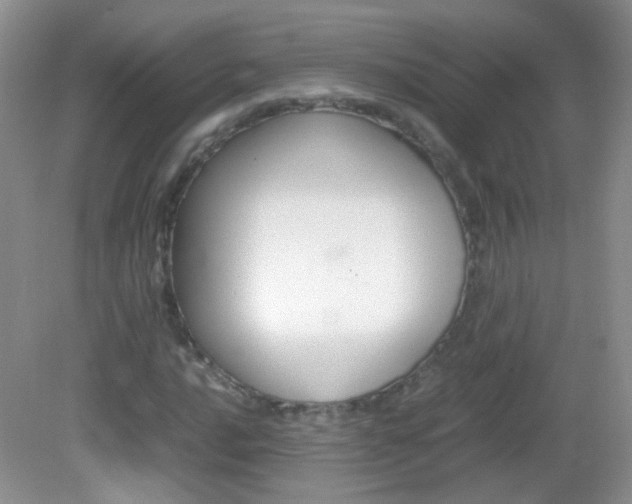 X0000082941016200702011106