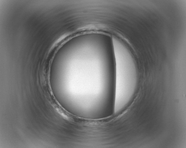 X0000082941018200702011106