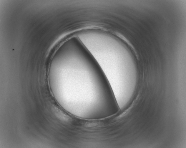 X0000082941021200702011106