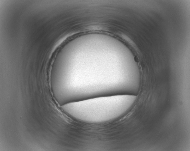 X0000082941023200702011106