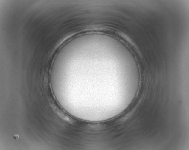X0000082941025200702011106