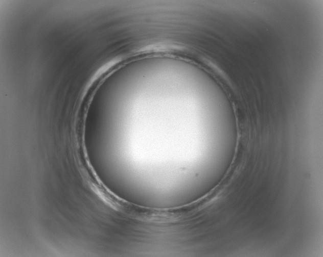 X0000082941026200702011106