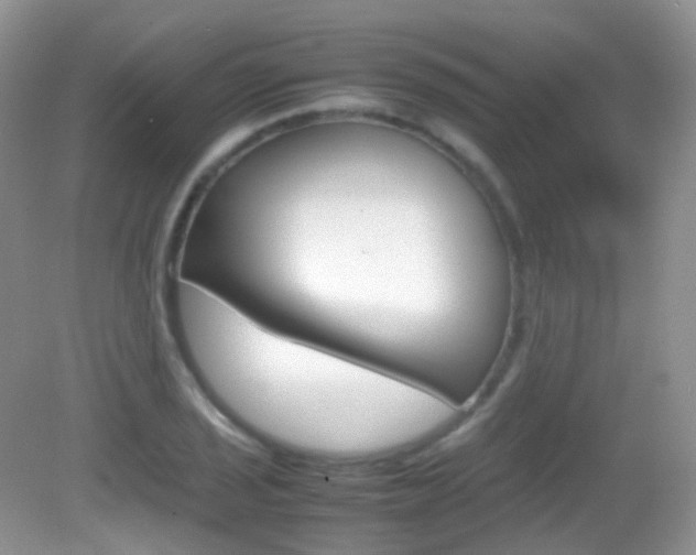 X0000082941029200702011106