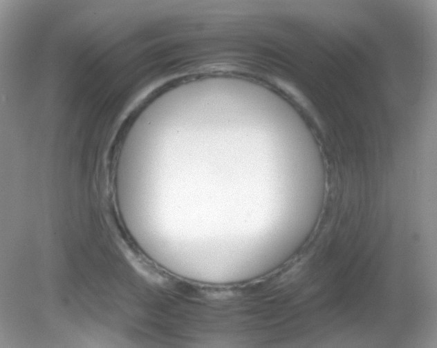 X0000082941031200702011106