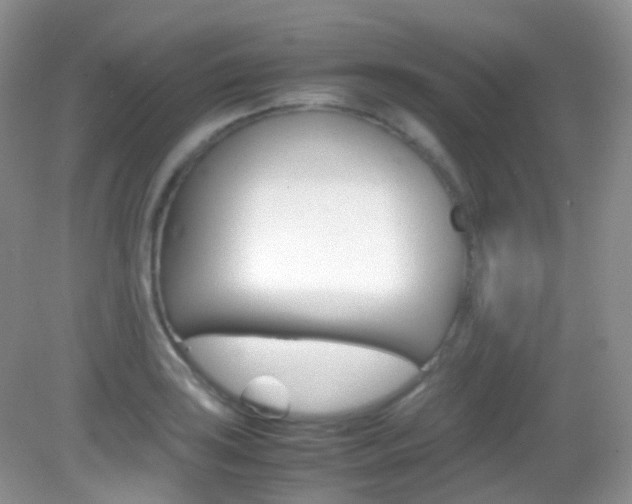 X0000082941035200702011107