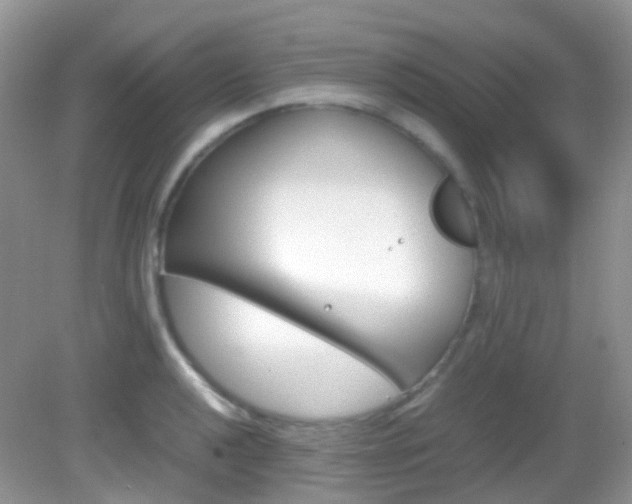 X0000082941040200702011107