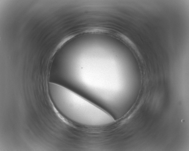 X0000082941041200702011107