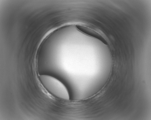 X0000082941044200702011107