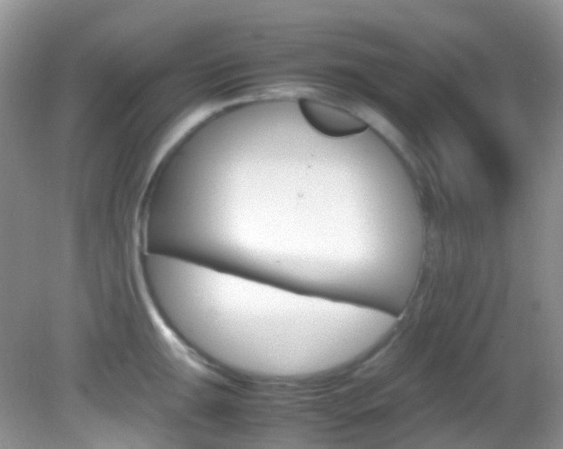 X0000082941047200702011107