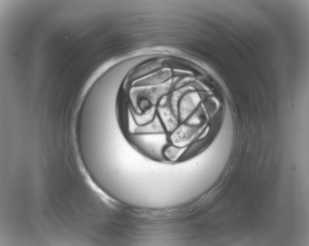 X0000082941054200702011107