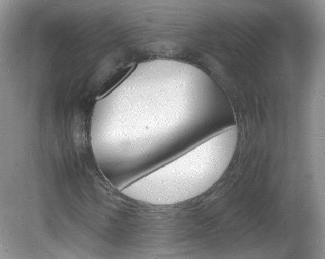 X0000082941058200702011106