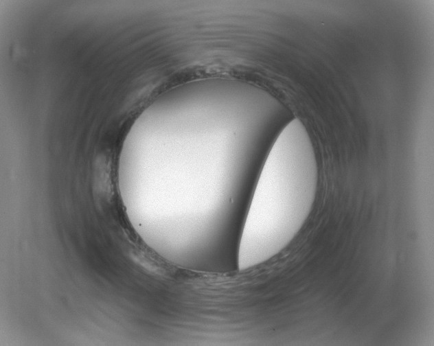 X0000082941060200702011106