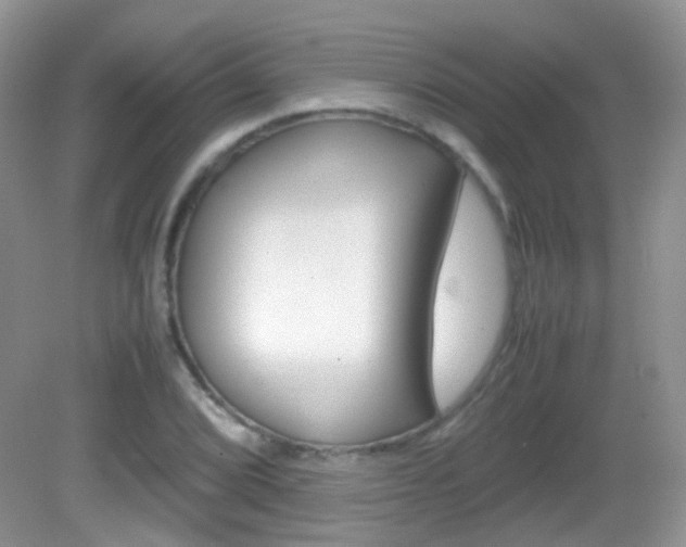 X0000082941072200702011106