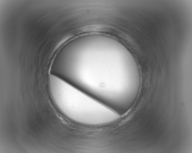 X0000082941073200702011106