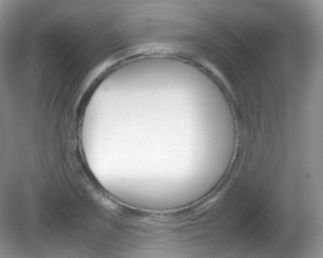 X0000082941075200702011106