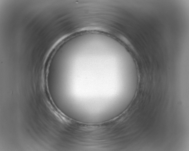 X0000082941076200702011106