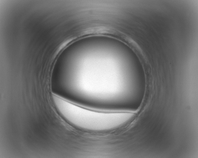X0000082941081200702011106