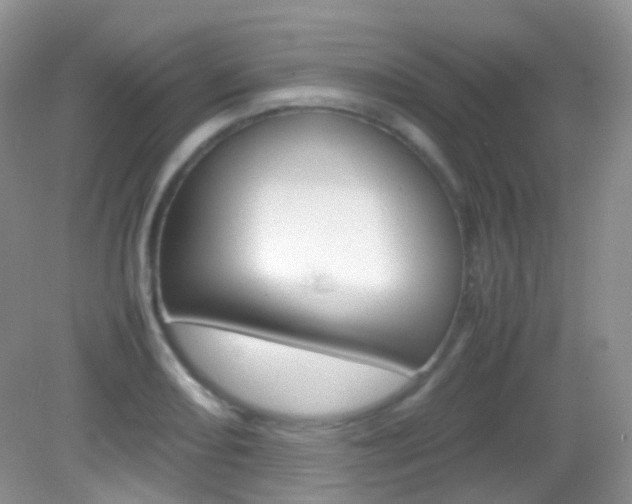 X0000082941082200702011106