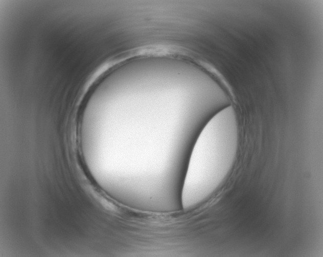 X0000082941083200702011106