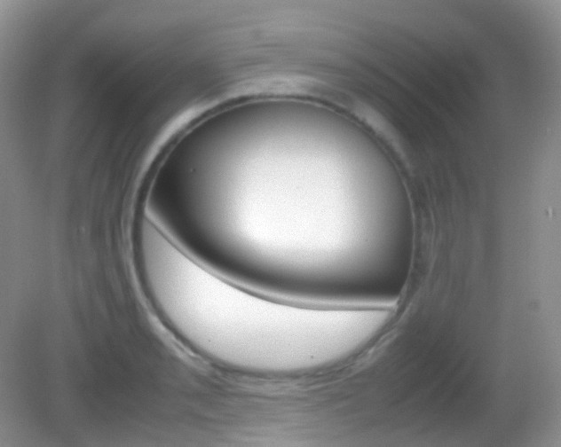X0000082941085200702011106