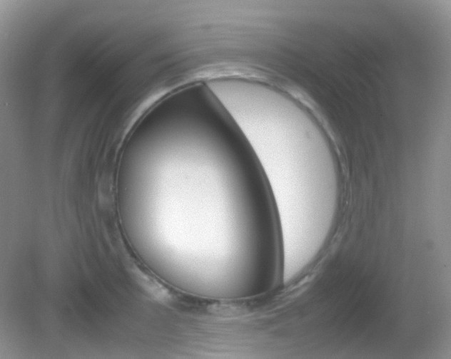 X0000082941089200702011106