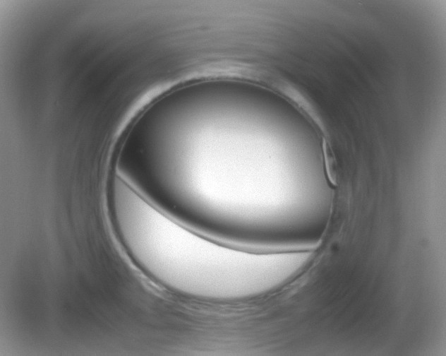 X0000082941093200702011105
