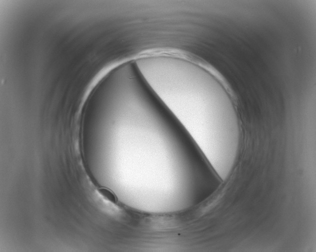 X0000082941102200702011105