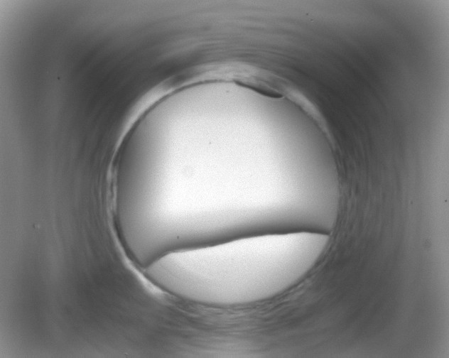 X0000082941103200702011105