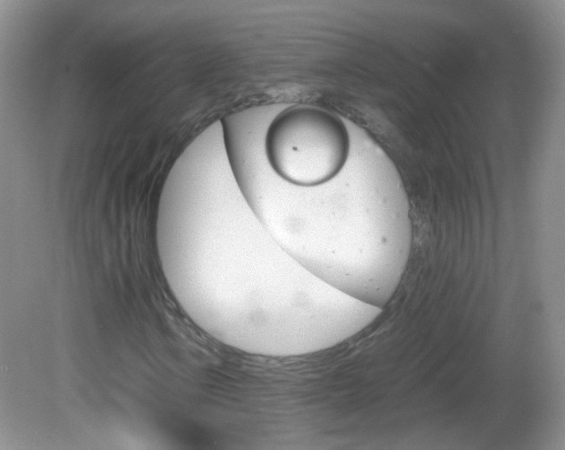 X0000082941106200702011105