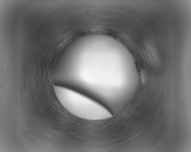 X0000082941107200702011105