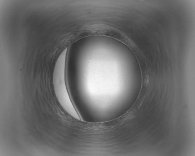 X0000082941108200702011105