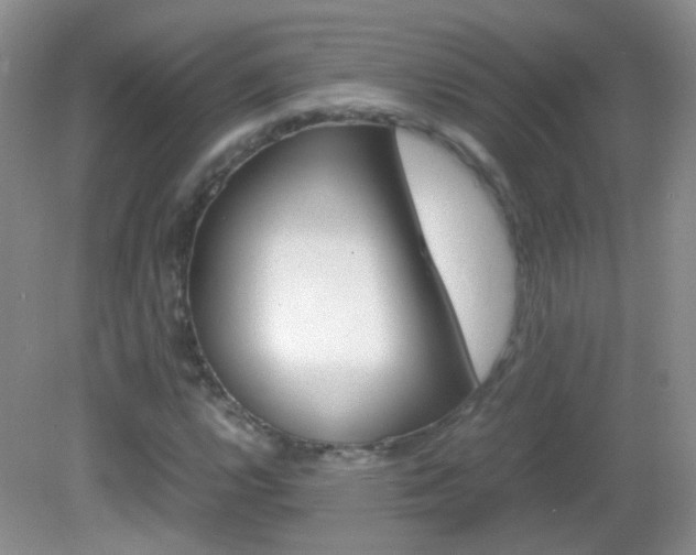 X0000082941112200702011105